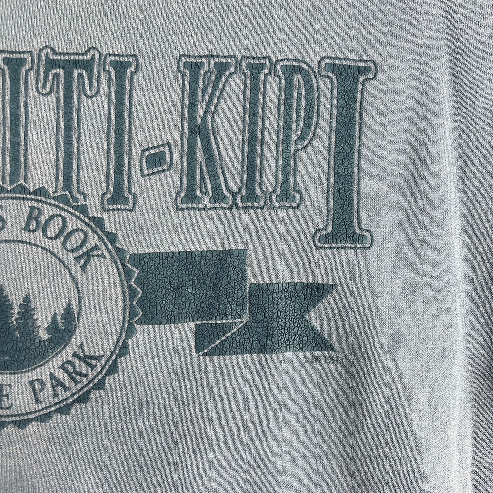 Vtg Kitch-Iti-Kipi Palms Book State Park Sweatshrt Fits Small 1990s Made In Usa View 2